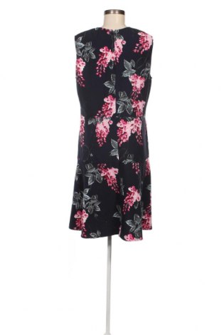 Kleid Betty Barclay, Größe XL, Farbe Mehrfarbig, Preis € 41,06