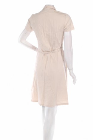 Φόρεμα Montego, Μέγεθος XS, Χρώμα  Μπέζ, Τιμή 23,71 €