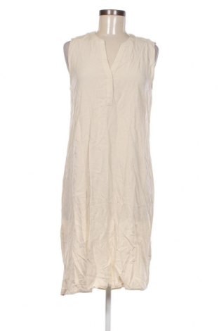 Kleid Montego, Größe L, Farbe Beige, Preis € 16,12