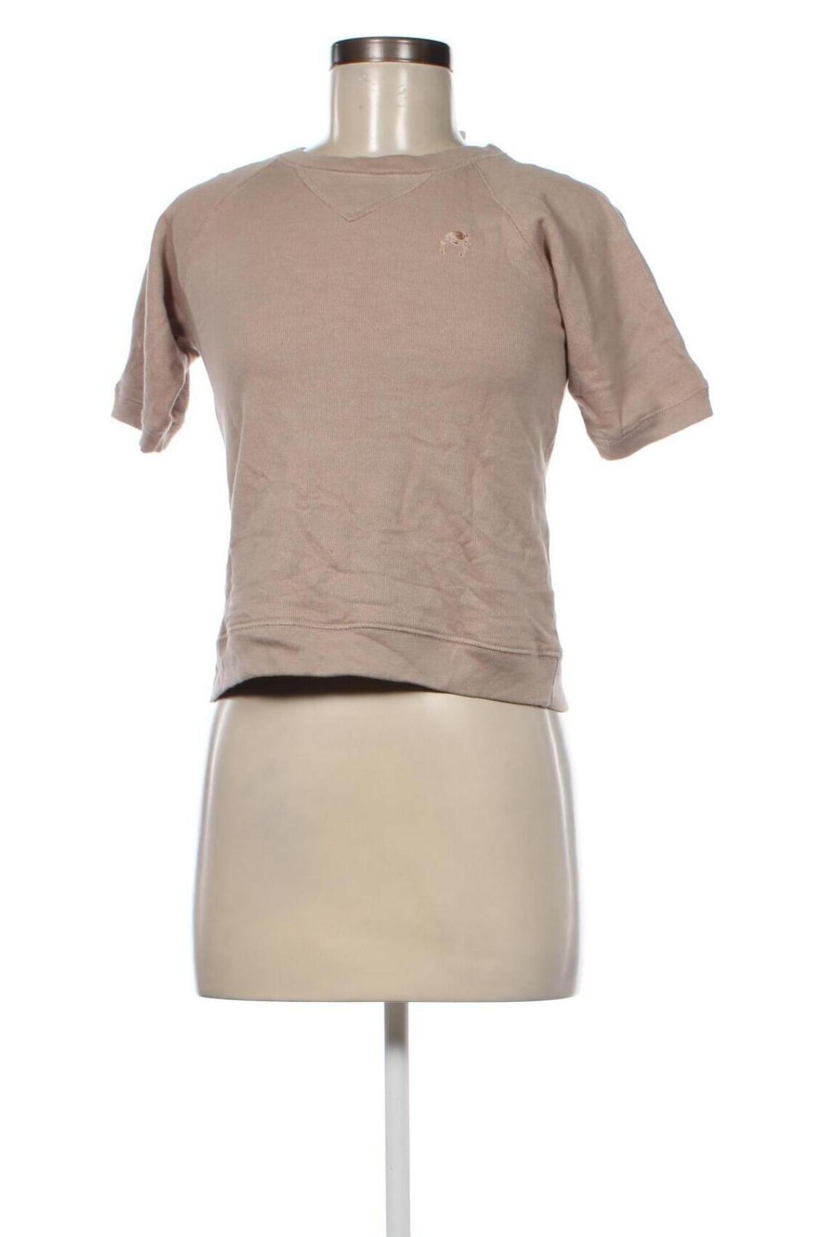 Γυναικεία μπλούζα Dolores Promesas, Μέγεθος XS, Χρώμα  Μπέζ, Τιμή 3,34 €