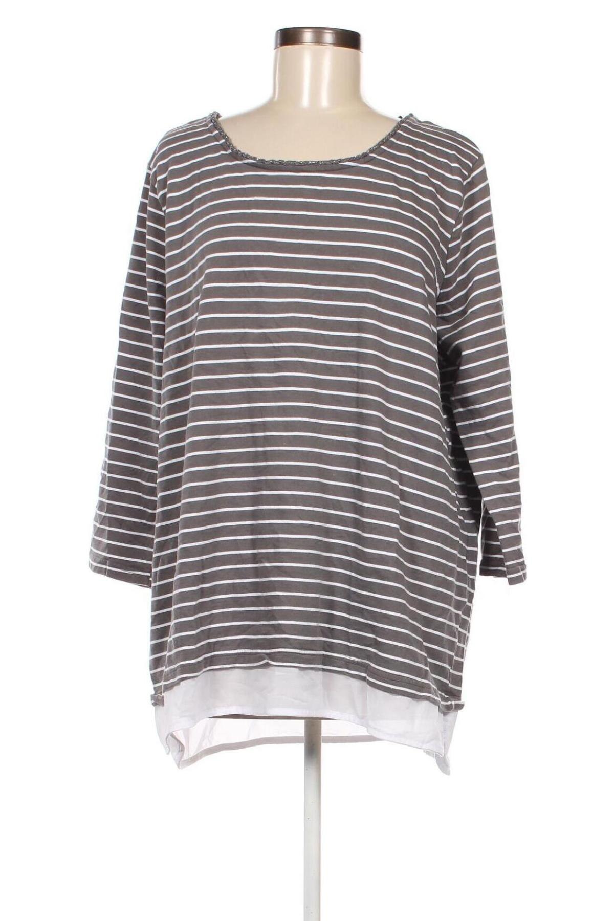 Γυναικεία μπλούζα Gina Benotti, Μέγεθος XL, Χρώμα Πολύχρωμο, Τιμή 5,05 €