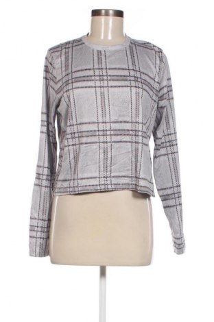 Damen Shirt Colloseum, Größe L, Farbe Mehrfarbig, Preis 13,49 €