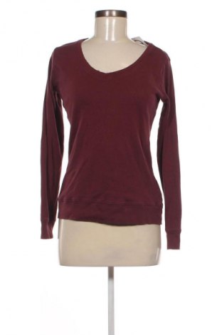 Damen Shirt Colours Of The World, Größe XL, Farbe Rot, Preis 10,00 €