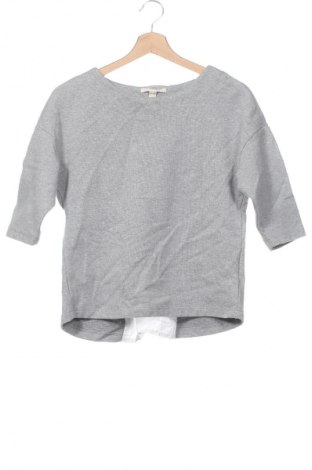 Damen Shirt Esprit, Größe XS, Farbe Grau, Preis 23,99 €