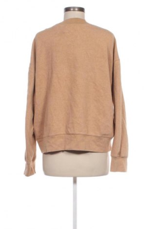 Damen Shirt Maison Scotch, Größe XL, Farbe Beige, Preis 57,49 €