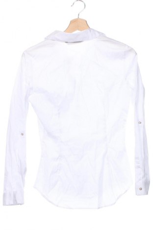 Damen Shirt Zara, Größe S, Farbe Weiß, Preis € 8,99