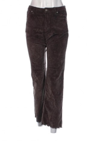 Pantaloni de velvet de femei Betsy, Mărime S, Culoare Maro, Preț 95,99 Lei