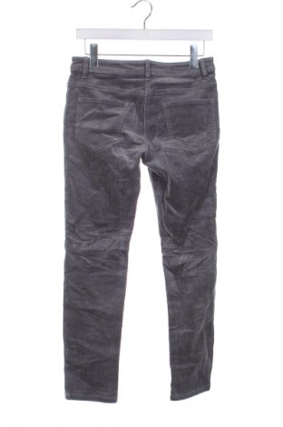 Pantaloni de velvet de femei Marie Lund, Mărime S, Culoare Gri, Preț 31,99 Lei