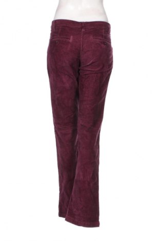 Damen Cordhose Now, Größe XL, Farbe Lila, Preis 4,99 €