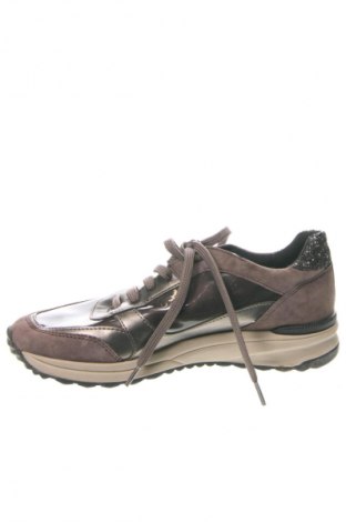 Damenschuhe Geox, Größe 37, Farbe Braun, Preis 61,99 €