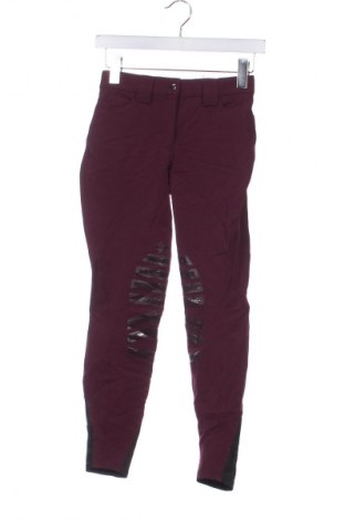 Damenhose, Größe S, Farbe Lila, Preis € 20,49