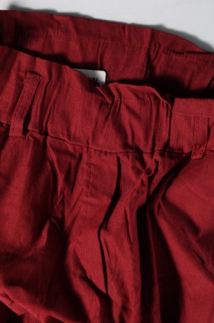 Damenhose, Größe S, Farbe Rot, Preis 20,49 €