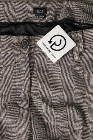 Damenhose Esprit, Größe M, Farbe Mehrfarbig, Preis € 14,99