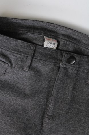 Damenhose Esprit, Größe M, Farbe Grau, Preis € 28,99