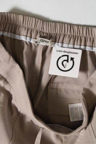 Damenhose Esprit, Größe M, Farbe Beige, Preis 28,99 €