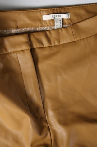 Damenhose Esprit, Größe M, Farbe Braun, Preis € 28,99