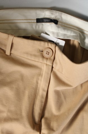 Damenhose Esprit, Größe M, Farbe Beige, Preis € 13,99