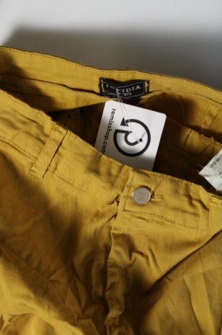 Damenhose Invidia dal 1973, Größe M, Farbe Grün, Preis 15,99 €