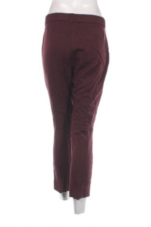 Damenhose Motivi, Größe S, Farbe Rot, Preis 7,99 €