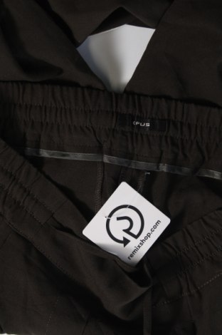 Damenhose Opus, Größe S, Farbe Grün, Preis 19,99 €