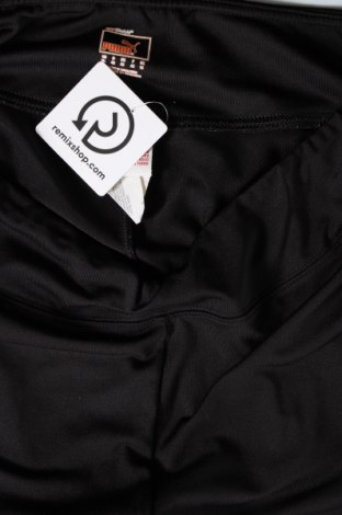 Damenhose PUMA, Größe XL, Farbe Schwarz, Preis € 31,99