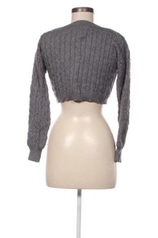 Damenpullover Fashion nova, Größe M, Farbe Grau, Preis € 6,99