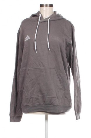 Damen Sweatshirt Adidas, Größe M, Farbe Grau, Preis 33,99 €