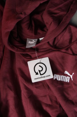 Γυναικείο φούτερ PUMA, Μέγεθος S, Χρώμα Κόκκινο, Τιμή 28,99 €