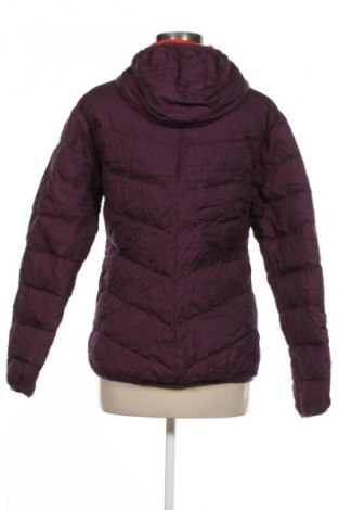 Damenjacke Heldre, Größe L, Farbe Lila, Preis € 27,99