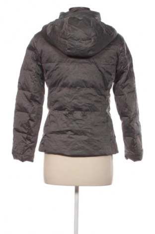 Damenjacke Oltre, Größe S, Farbe Grau, Preis 16,99 €