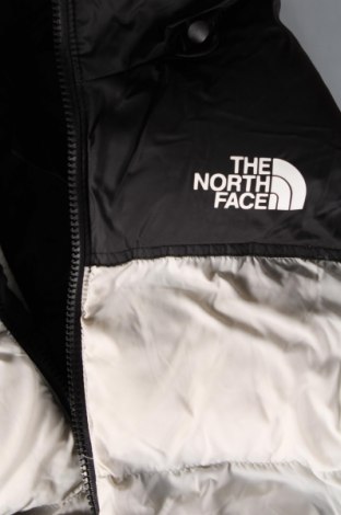 Dámska bunda  The North Face, Veľkosť M, Farba Viacfarebná, Cena  91,00 €