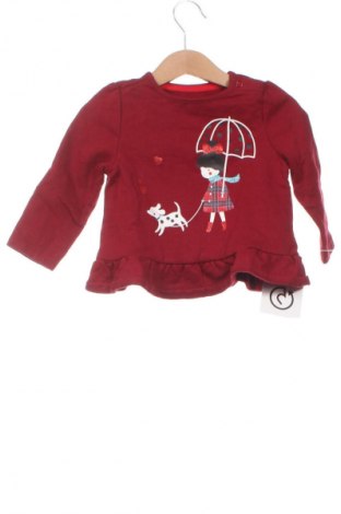 Kinder Shirt C&A, Größe 9-12m/ 74-80 cm, Farbe Rot, Preis 6,06 €