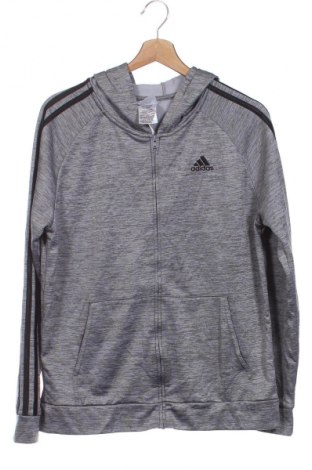 Kinder Sweatshirts Adidas, Größe 15-18y/ 170-176 cm, Farbe Grau, Preis € 24,99