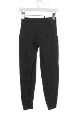 Pantaloni de trening, pentru copii Pepperts!, Mărime 9-10y/ 140-146 cm, Culoare Gri, Preț 54,86 Lei