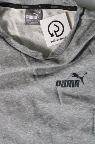 Pánske tričko  PUMA, Veľkosť S, Farba Sivá, Cena  23,45 €