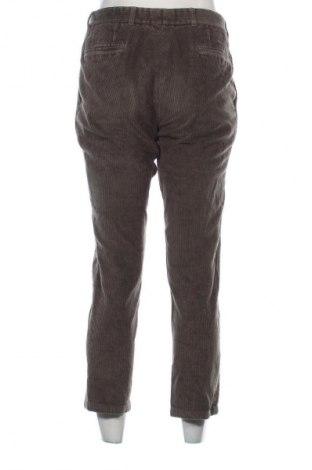 Herren Cordhose Brax, Größe M, Farbe Grün, Preis € 47,99