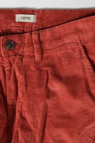 Herren Cordhose Esprit, Größe M, Farbe Rot, Preis 15,99 €