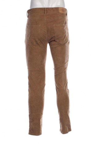 Herren Cordhose Hampton Republic, Größe M, Farbe Beige, Preis 17,49 €