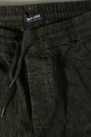 Herren Cordhose Only & Sons, Größe S, Farbe Grün, Preis € 27,49