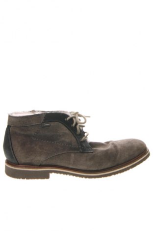 Herrenschuhe Lloyd, Größe 43, Farbe Grün, Preis € 40,99