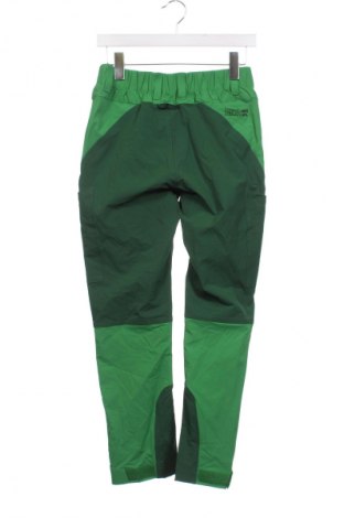 Herrenhose Wenaas, Größe S, Farbe Grün, Preis € 13,49