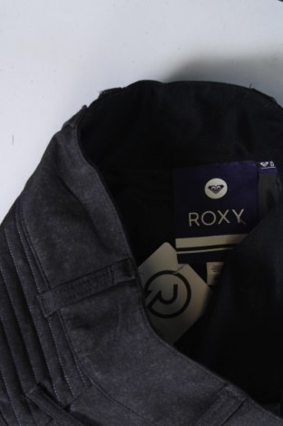 Pantaloni bărbătești pentru sporturi de iarnă Roxy, Mărime S, Culoare Gri, Preț 315,99 Lei