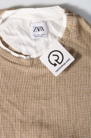 Męski sweter Zara, Rozmiar S, Kolor Beżowy, Cena 61,99 zł