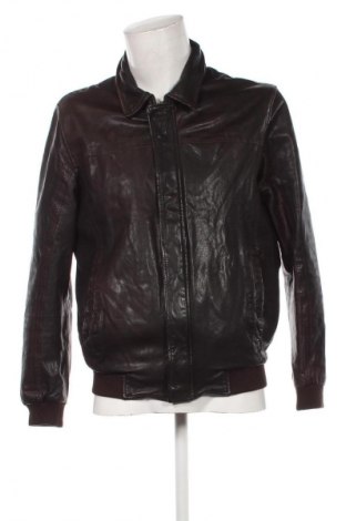 Herren Lederjacke Chevignon, Größe L, Farbe Braun, Preis € 149,99