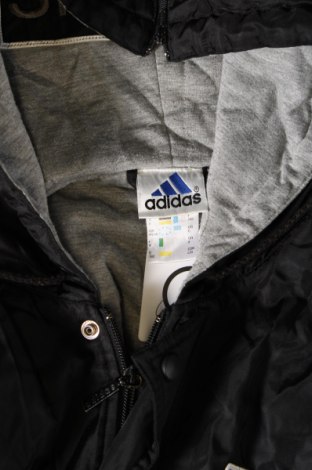 Pánská bunda  Adidas, Velikost XXL, Barva Černá, Cena  1 539,00 Kč