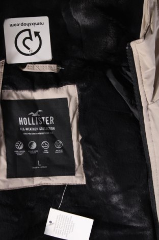 Ανδρικό μπουφάν Hollister, Μέγεθος L, Χρώμα Γκρί, Τιμή 91,99 €