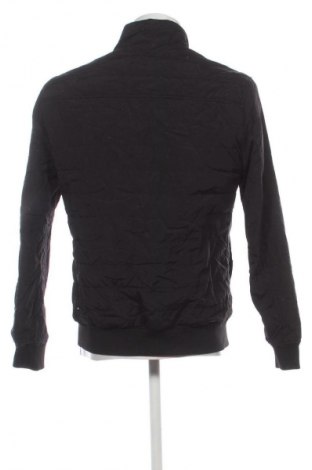 Herrenjacke Superdry, Größe L, Farbe Schwarz, Preis € 54,49