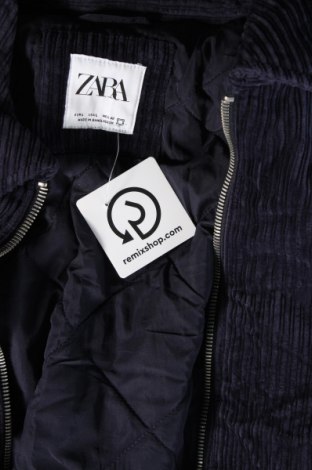 Ανδρικό μπουφάν Zara, Μέγεθος L, Χρώμα Μπλέ, Τιμή 18,99 €