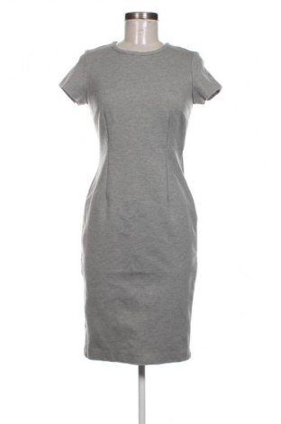 Kleid Ann Taylor, Größe S, Farbe Grau, Preis € 28,82