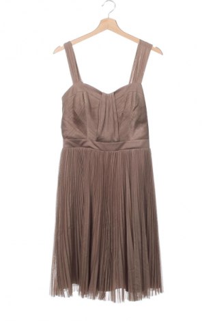 Kleid Belle By Oasis, Größe M, Farbe Beige, Preis 25,49 €